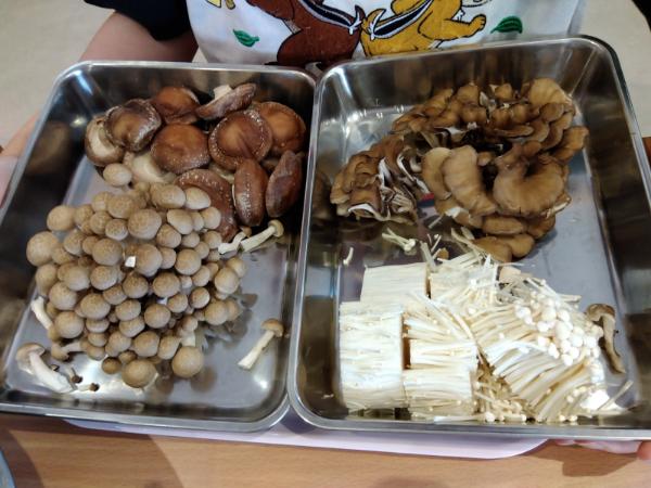 食育活動！きのこさき🍄