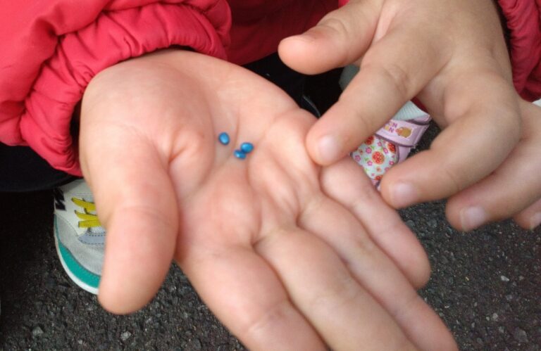 赤い小さな小さな大根？